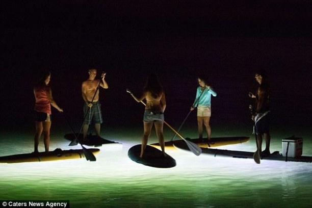 SUP Glow Paddle at Salem
