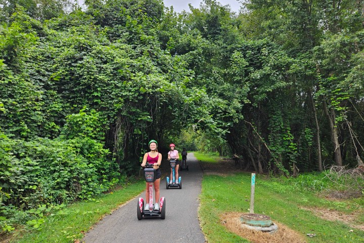 a person standing next to a tree