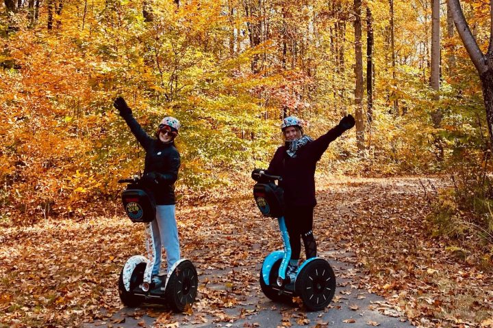 a group of people in a forest