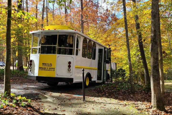 a bus drives through a wooded area